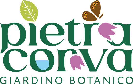 Pietra Corva Giardino Botanico